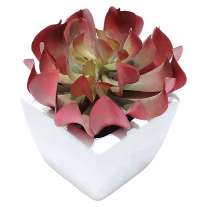 Artificial Echeveria Succulent in White Pot: Realistic Faux Plant, Modern Tabletop Decor, Low-Maintenance Greenery, Add a Touch of Desert Chic.