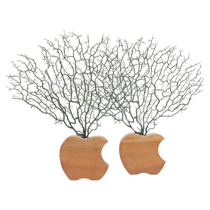 Apple-Shaped Vases with Branch Accents: Unique Nature-Inspired Decor, Artistic Centerpieces, Rustic Elegance, Set of Two, Add a Touch of Whimsy.