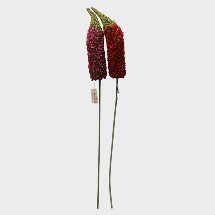 Artificial Burgundy Foxtail Lily Spike