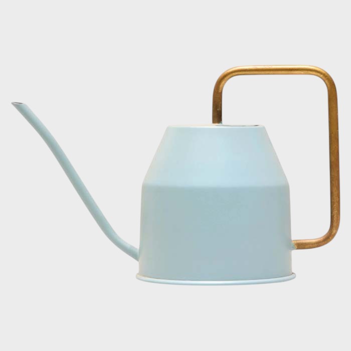Elegant Light Blue Indoor Watering Can with Brass Handle