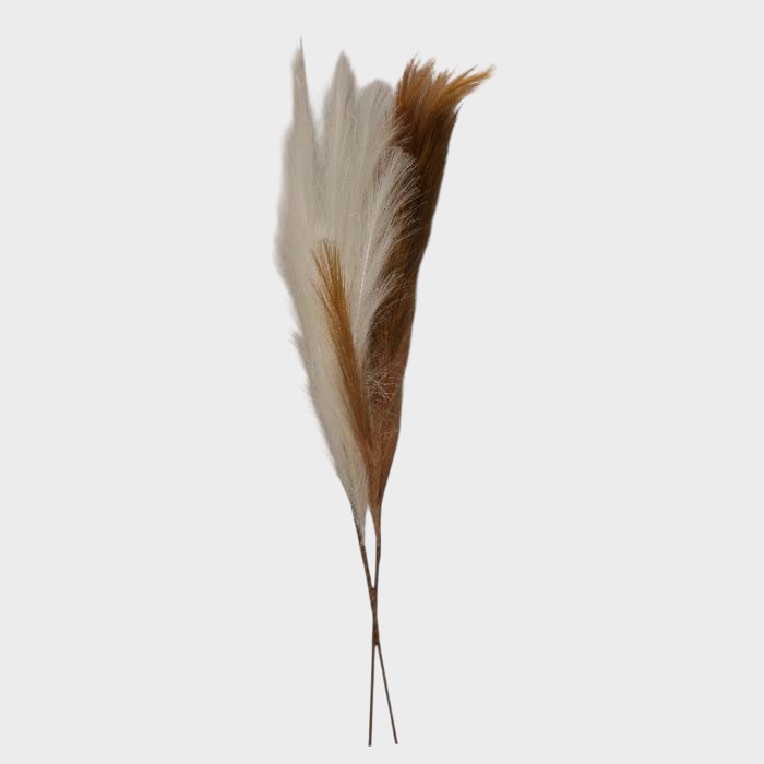 Artificial Brown Pampas Grass Stem